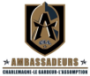 Logo AHM ORGANISATION C.L.L.