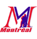 Logo *AHM HOCKEY QUÉBEC RÉGION MONTRÉAL