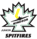 Logo WINDSOR
