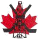 Logo FORT ST. JOHN MINOR HOCKEY ASSOCIATION