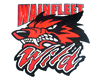 Logo WAINFLEET